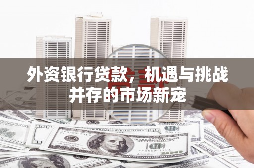 泸西外资银行贷款，机遇与挑战并存的市场新宠