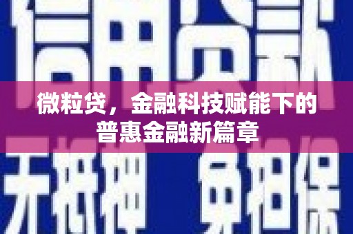 西岗微粒贷，金融科技赋能下的普惠金融新篇章