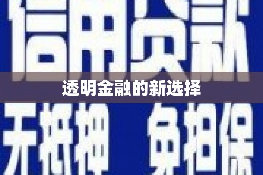 芦山透明金融的新选择
