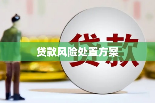 武侯贷款风险处置方案
