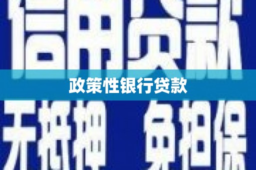 洪江政策性银行贷款