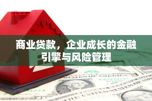 淮上商业贷款，企业成长的金融引擎与风险管理