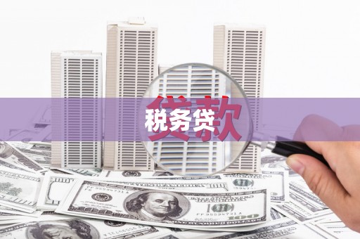 修文税务贷