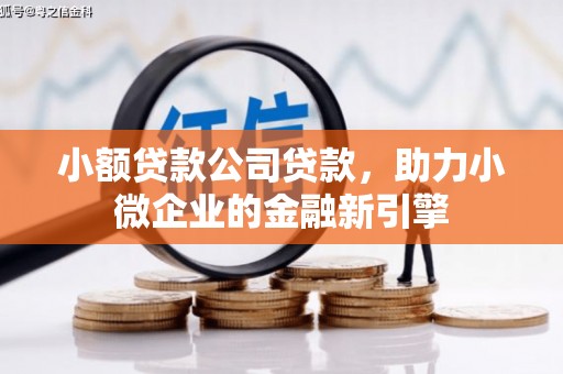 阆中小额贷款公司贷款，助力小微企业的金融新引擎