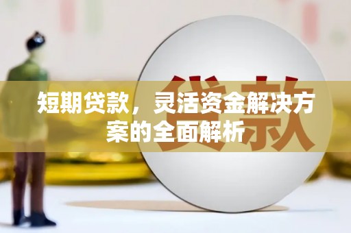 海端短期贷款，灵活资金解决方案的全面解析