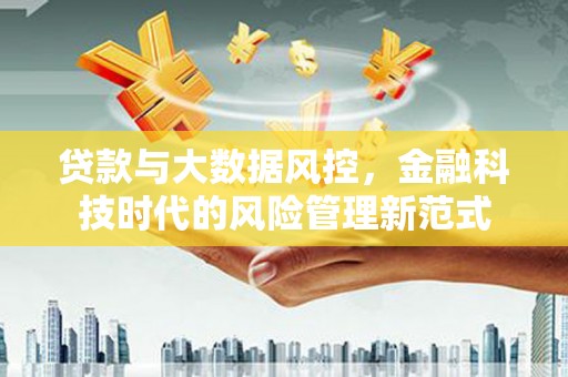 芦洲贷款与大数据风控，金融科技时代的风险管理新范式