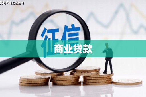芦淞商业贷款