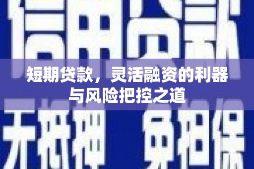 乐东短期贷款，灵活融资的利器与风险把控之道