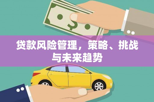 阳春贷款风险管理，策略、挑战与未来趋势