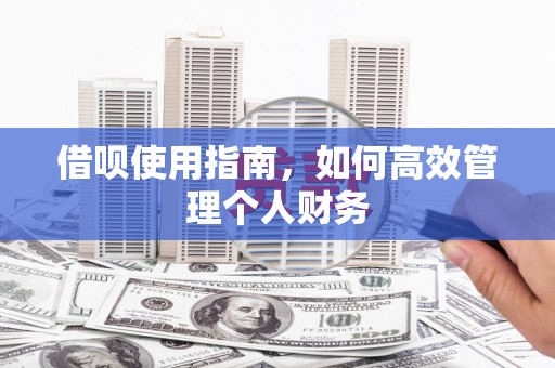 广灵借呗使用指南，如何高效管理个人财务