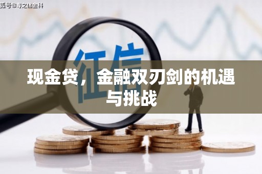 安仁现金贷，金融双刃剑的机遇与挑战