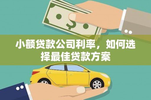 青白江小额贷款公司利率，如何选择最佳贷款方案
