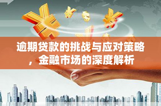 江永逾期贷款的挑战与应对策略，金融市场的深度解析