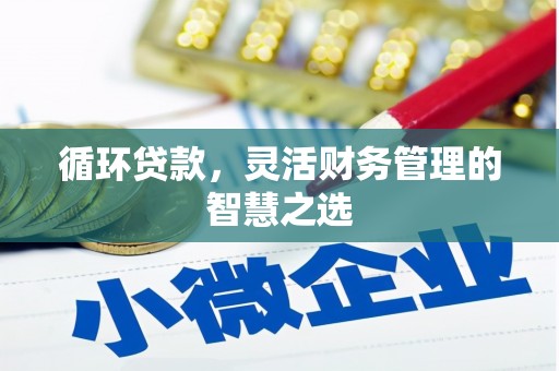 潍城循环贷款，灵活财务管理的智慧之选