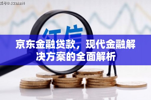 汤原京东金融贷款，现代金融解决方案的全面解析