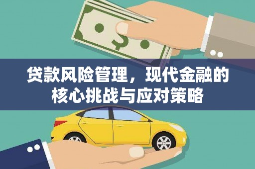沙依巴克贷款风险管理，现代金融的核心挑战与应对策略