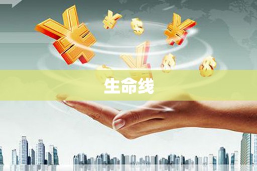 武鸣生命线