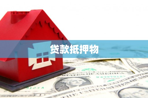 南海贷款抵押物
