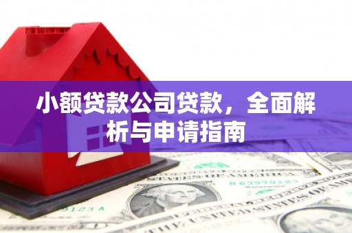 前锋小额贷款公司贷款，全面解析与申请指南