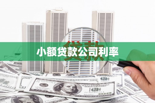 桑日小额贷款公司利率