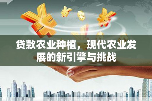 淮安贷款农业种植，现代农业发展的新引擎与挑战