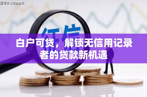 颍泉白户可贷，解锁无信用记录者的贷款新机遇