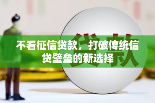 丹凤不看征信贷款，打破传统信贷壁垒的新选择
