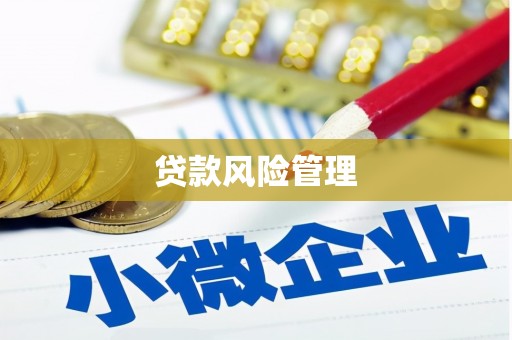 新园贷款风险管理