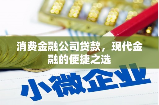 滨城消费金融公司贷款，现代金融的便捷之选