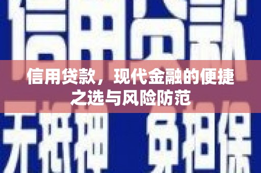 平舆信用贷款，现代金融的便捷之选与风险防范