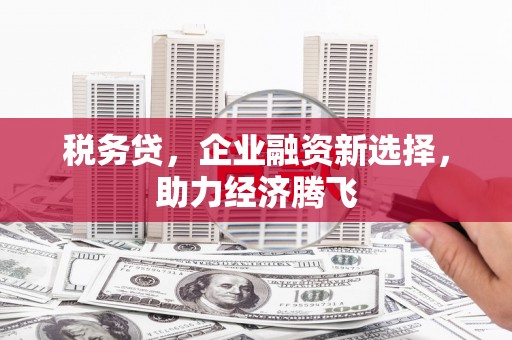 灌阳税务贷，企业融资新选择，助力经济腾飞