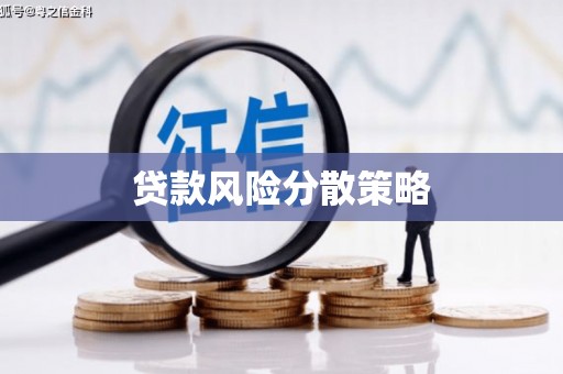 四湖贷款风险分散策略