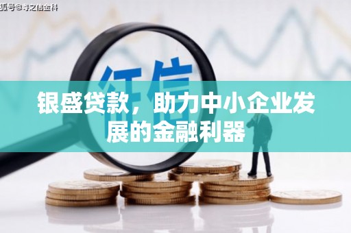 乡城银盛贷款，助力中小企业发展的金融利器