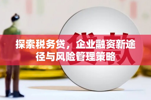 望奎探索税务贷，企业融资新途径与风险管理策略
