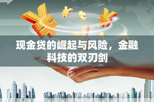哈尔滨现金贷的崛起与风险，金融科技的双刃剑