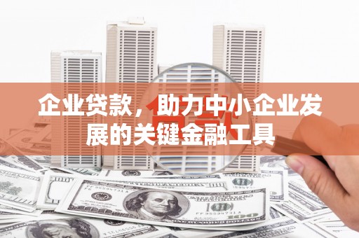 隆德企业贷款，助力中小企业发展的关键金融工具