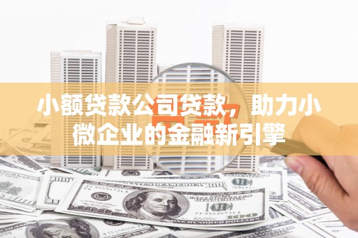 资中小额贷款公司贷款，助力小微企业的金融新引擎