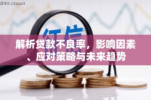 西昌解析贷款不良率，影响因素、应对策略与未来趋势