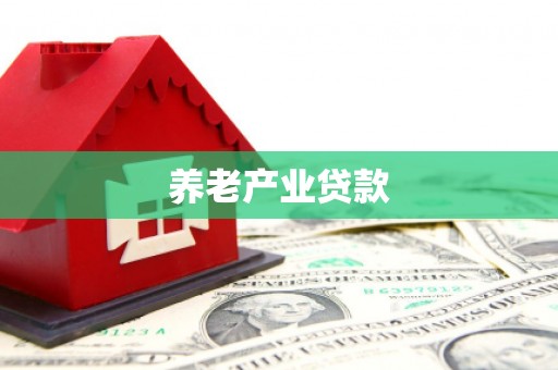 孝感养老产业贷款