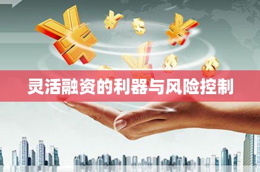 和布克赛尔灵活融资的利器与风险控制
