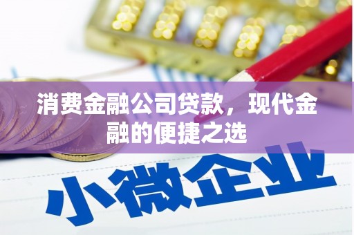 巴青消费金融公司贷款，现代金融的便捷之选