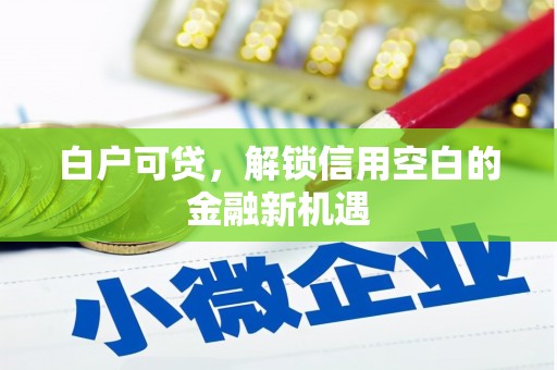 察雅白户可贷，解锁信用空白的金融新机遇