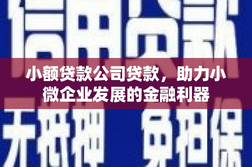 上城小额贷款公司贷款，助力小微企业发展的金融利器