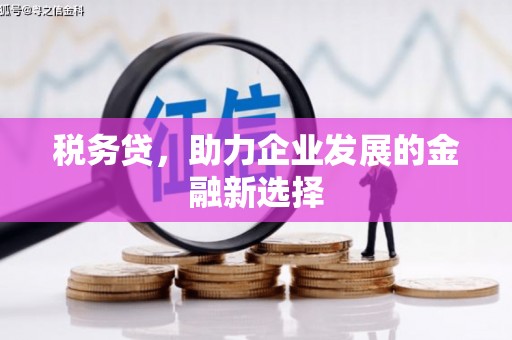 宁晋税务贷，助力企业发展的金融新选择
