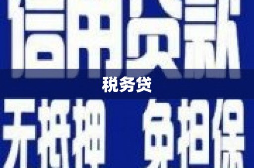 苍梧税务贷