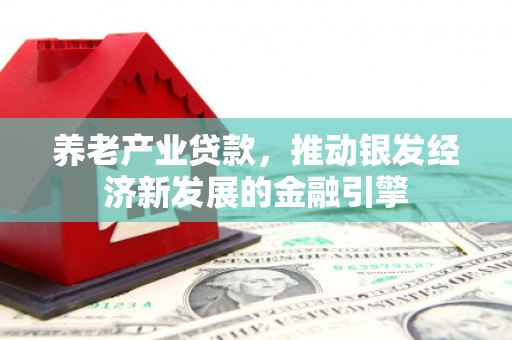 昔阳养老产业贷款，推动银发经济新发展的金融引擎