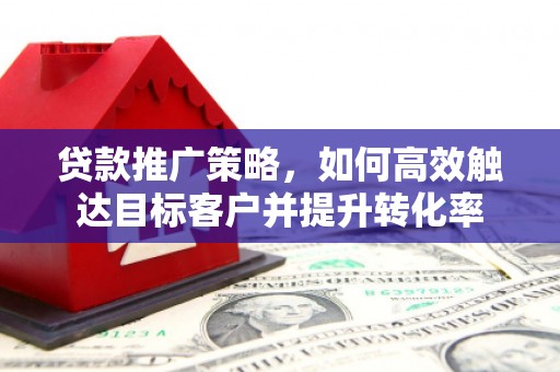 壮围贷款推广策略，如何高效触达目标客户并提升转化率