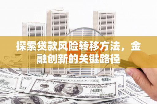 曲麻莱探索贷款风险转移方法，金融创新的关键路径