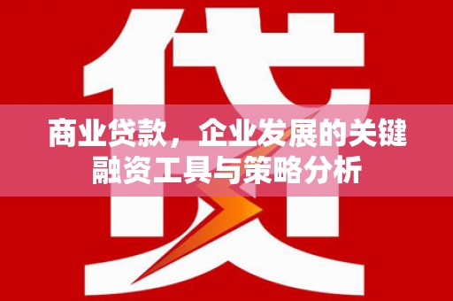 南宫商业贷款，企业发展的关键融资工具与策略分析