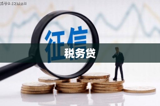 西屿税务贷